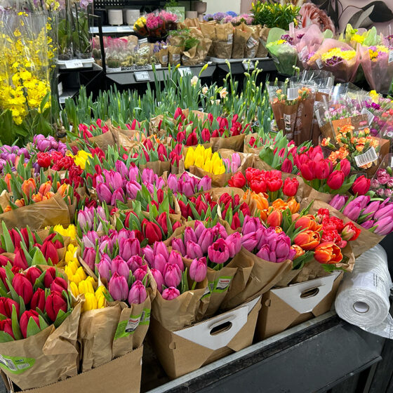 2025年、ありがとうございました &チーム家族